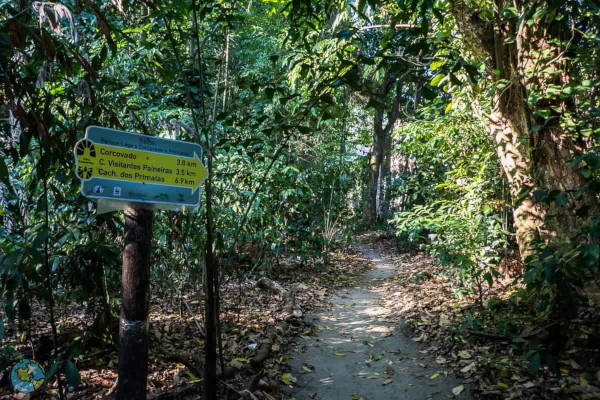 Caminho de trilha na Mata Atl&acirc;ntica com sinaliza&ccedil;&atilde;o para o Corcovado